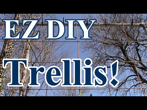 Easy Vertical Grow Trellis Tips for Your Home Garden