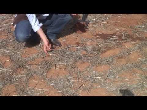 How to test soil structure