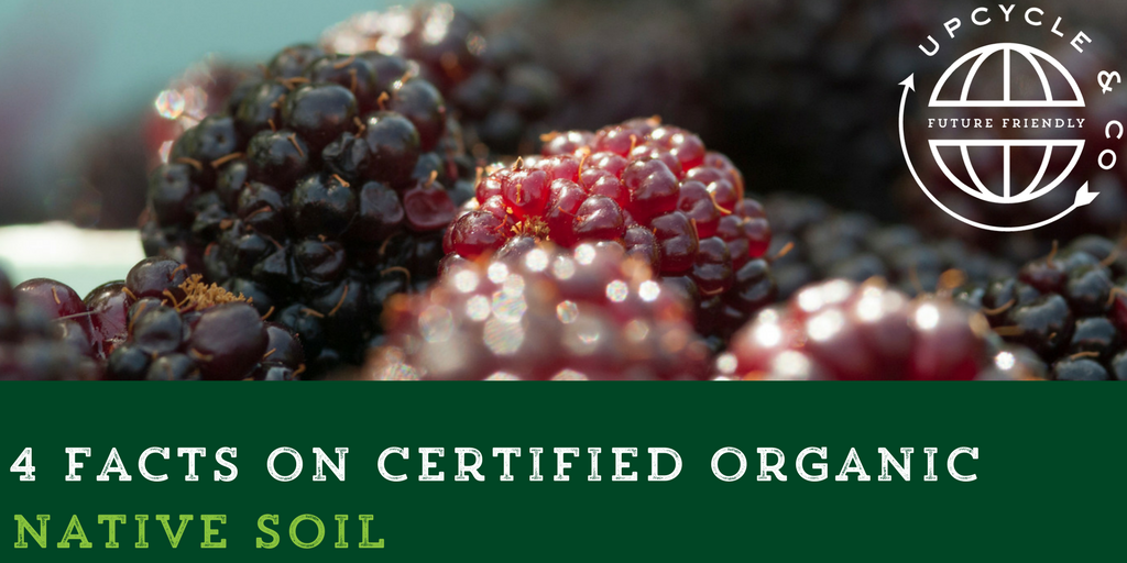 4 Facts You May Not Know about Certified Organic