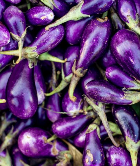 close up image of many eggplants